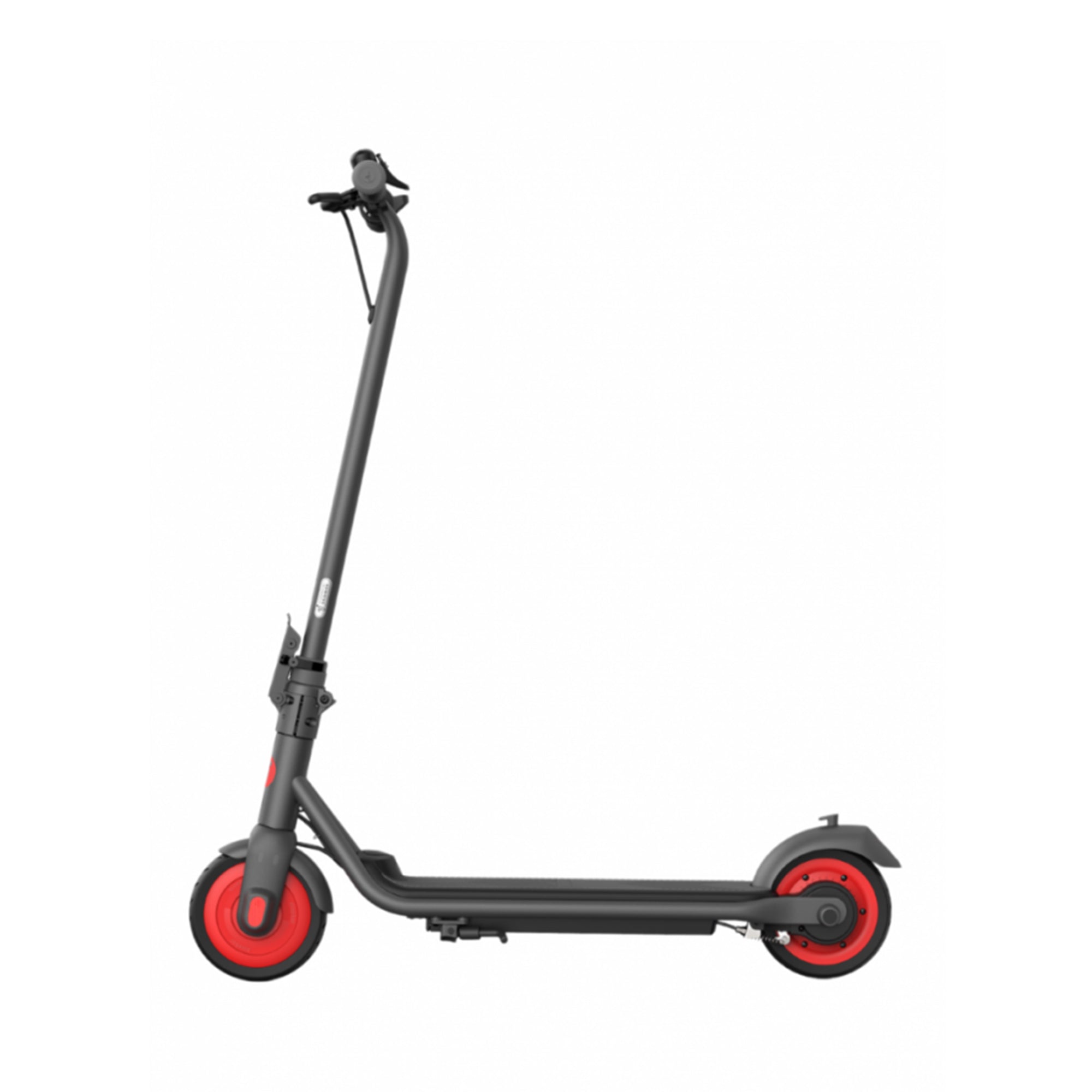 自転車本体 Ninebot eKickscooter C20 Ninebot eKickScooter Zing C20 | Luxury Carts